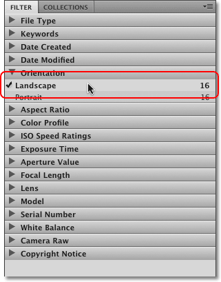 The Filter panel in the Adobe Bridge CS4 Preferences. Image © 2010 Photoshop Essentials.com.