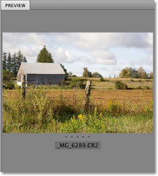 The Preview panel in Adobe Bridge CS4 Preferences. Image © 2010 Photoshop Essentials.com.
