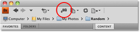 The Get Photos From Camera icon in Adobe Bridge CS4. Image © 2010 Photoshop Essentials.com.