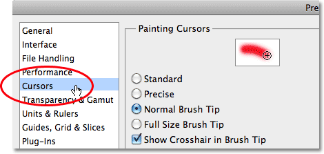 The Cursors Preferences category in Photoshop CS5. Image © 2010 Steve Patterson, Photoshop Essentials.com