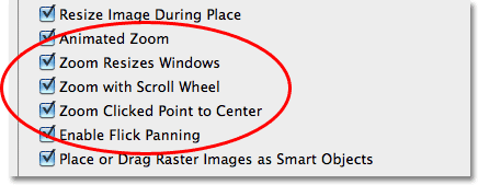 The Zoom preferences in Photoshop CS5. Image © 2010 Steve Patterson, Photoshop Essentials.com