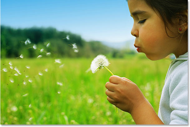 Adobe Photoshop Tutorials.