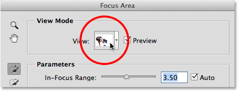 Clicking the View thumbnail in the Focus Area dialog box.