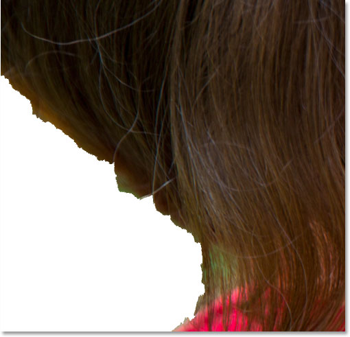 The missing hair has been added to the selection using the Focus Area Add Tool.