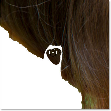Painting inside the missing hair.