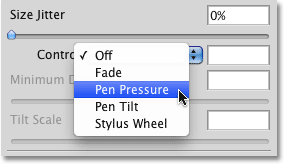Selecting Pen Pressure for the Size Control option in the Brushes panel. Image © 2010 Photoshop Essentials.com