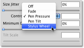 Selecting Stylus Wheel for the Size Control option in the Brushes panel. Image © 2010 Photoshop Essentials.com