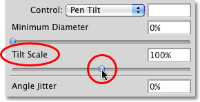 The Pen Tilt Scale option in the Shape Dynamics section of the Brushes panel in Photoshop. Image © 2010 Photoshop Essentials.com