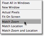 The Match Zoom option in Photoshop CS4. Image © 2009 Photoshop Essentials.com.