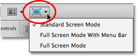The Screen Modes icon in the new Application Bar in Photoshop CS4. Image © 2009 Photoshop Essentials.com.