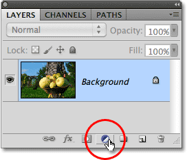 The New Ajustment Layer icon in the Layers panel in Photoshop. Image © 2010 Photoshop Essentials.com