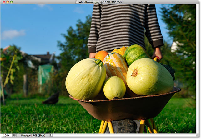 A child pushing a wheelbarrow filled with pumpkins. Image licensed from Shutterstock by Photoshop Essentials.com