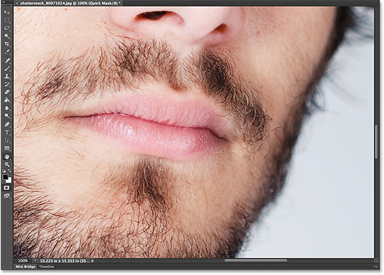 The area that was within the rectangle now fills the document window. Image © 2014 Steve Patterson, Photoshop Essentials.com