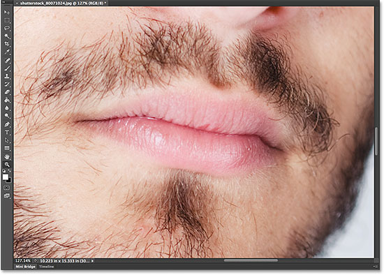 The area I selected with the Zoom Tool is now front and center in the document window. Image © 2014 Steve Patterson, Photoshop Essentials.com
