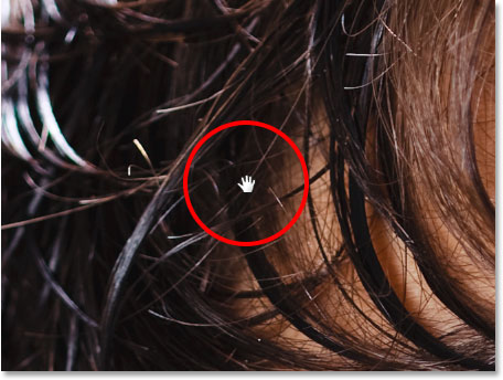 Press and hold the spacebar to temporarily switch to the Hand Tool. Image © 2014 Steve Patterson, Photoshop Essentials.com