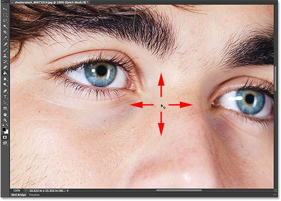 Panning and scrolling the image with the mouse wheel. Image © 2014 Steve Patterson, Photoshop Essentials.com