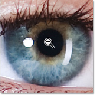 The Zoom Tool in Photoshop. Image © 2014 Steve Patterson, Photoshop Essentials.com