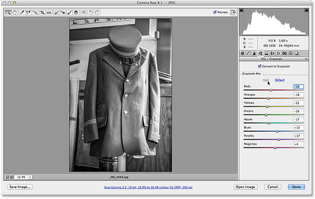 A color photo has been converted to grayscale in Camera Raw. Image © 2013 Steve Patterson, Photoshop Essentials.com