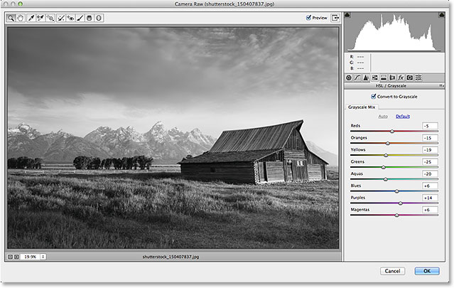The initial black and white conversion in the Camera Raw filter. Image © 2014 Photoshop Essentials.com