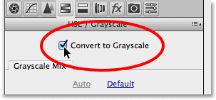 Selecting the Convert to Grayscale option. Image © 2014 Photoshop Essentials.com