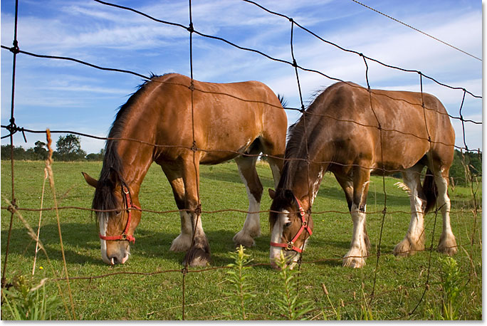 Adobe Photoshop photo editing and photo retouching tutorial image