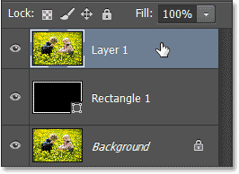 Selecting Layer 1 in the Layers panel. Image © 2013 Photoshop Essentials.com