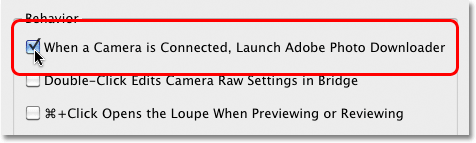 The Bridge CS4 Preferences. Image © 2010 Photoshop Essentials.com.