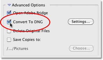 The Rename Files option in the Photo Downloader in Bridge CS4. Image © 2010 Photoshop Essentials.com.