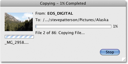 Downloading photos in Bridge CS4. Image © 2010 Photoshop Essentials.com.
