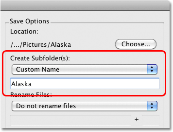 The Create Subfolders option in the Photo Downloader in Bridge CS4. Image © 2010 Photoshop Essentials.com.