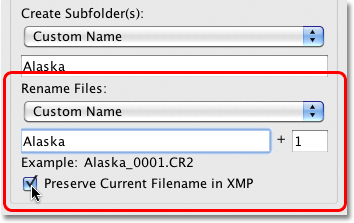 The Rename Files option in the Photo Downloader in Bridge CS4. Image © 2010 Photoshop Essentials.com.