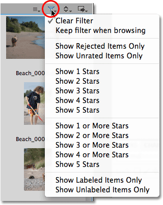 The Filter icon in Mini Bridge. Image © 2010 Steve Patterson, Photoshop Essentials.com