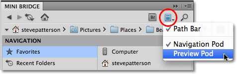 The Panel View in Mini Bridge. Image © 2010 Steve Patterson, Photoshop Essentials.com