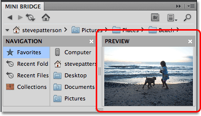 The Preview Pod in Mini Bridge. Image © 2010 Steve Patterson, Photoshop Essentials.com