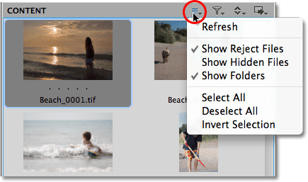 The Select icon in Mini Bridge. Image © 2010 Steve Patterson, Photoshop Essentials.com