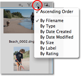 The Sort icon in Mini Bridge. Image © 2010 Steve Patterson, Photoshop Essentials.com