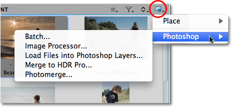 The Tools icon in Mini Bridge. Image © 2010 Steve Patterson, Photoshop Essentials.com