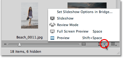 Additional image preview options in Mini Bridge. Image © 2010 Steve Patterson, Photoshop Essentials.com