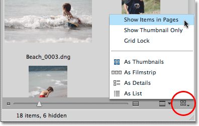 Selecting Show Items in Pages from the View menu in Mini Bridge. Image © 2010 Steve Patterson, Photoshop Essentials.com