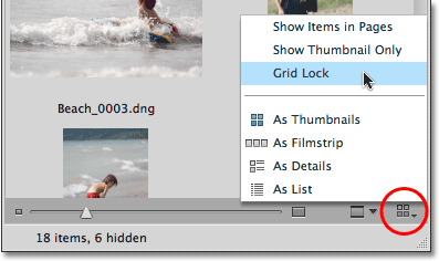 Choosing Grid Lock from the View menu in Mini Bridge. Image © 2010 Steve Patterson, Photoshop Essentials.com