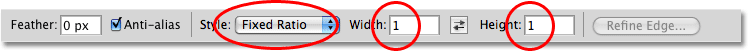 The Options Bar in Photoshop. Image © 2009 Photoshop Essentials.com