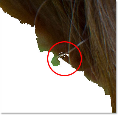 Holding Alt (Win) / Option (Mac) and dragging across the area with the Focus Area Add Tool.
