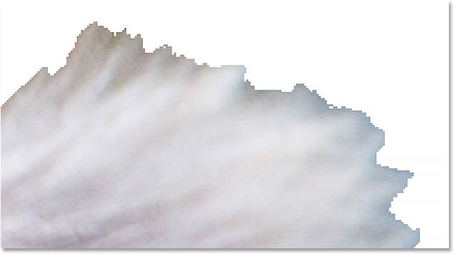 Rough, jagged selection edges created by Focus Area.