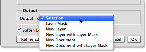 The Output options in the Focus Area dialog box.