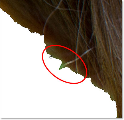 Painting with a very small brush to remove the remaining background.
