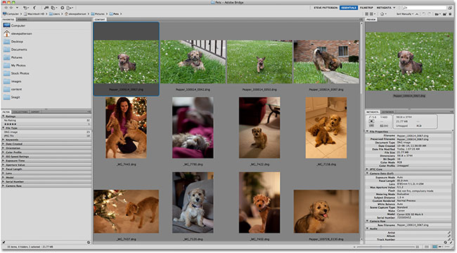 Adobe Bridge CS5. Image © 2011 Photoshop Essentials.com.