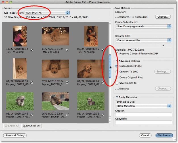 The Photo Downloader Advanced Dialog in Adobe Bridge CS5. Image © 2011 Photoshop Essentials.com.