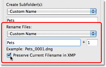 Renaming the photos in the Photo Downloader in Adobe Bridge CS5. Image © 2011 Photoshop Essentials.com.