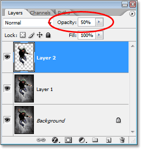 Adobe Photoshop tutorial image.