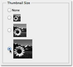 Choosing the Large thumbnail size. Image © 2014 Steve Patterson, Photoshop Essentials.com